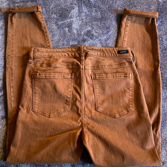 Liverpool Burnt Sienna Straight Leg Jeans - Picture 8 of 8